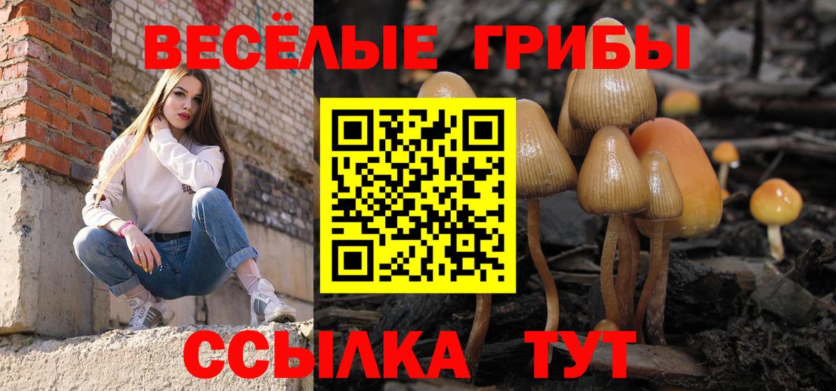 Псилоцибиновые грибы GOLDEN TEACHER Ефремов