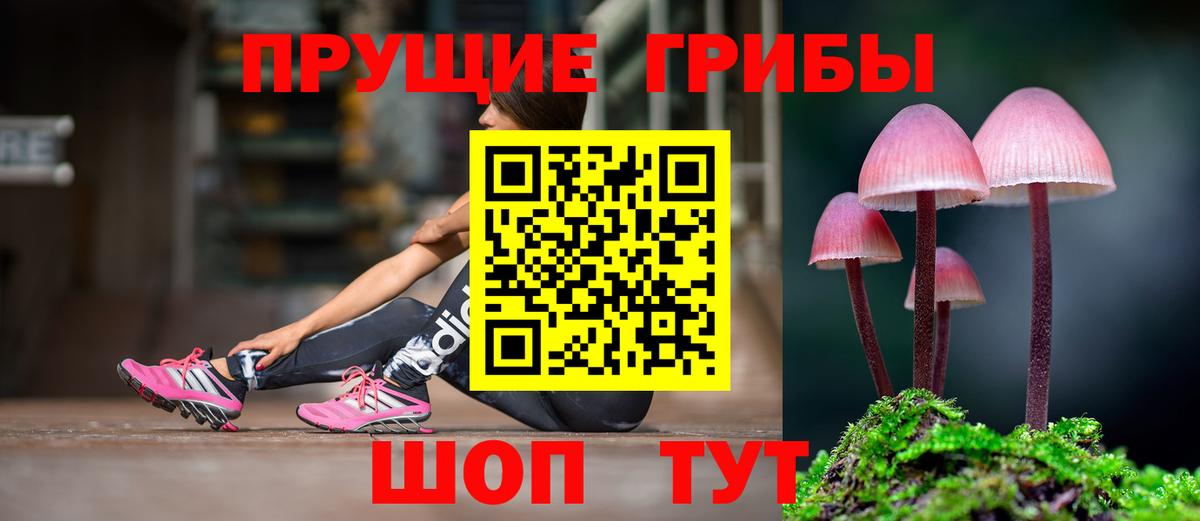 Галлюциногенные грибы Magic Shrooms  Вход с VPN  Ефремов 